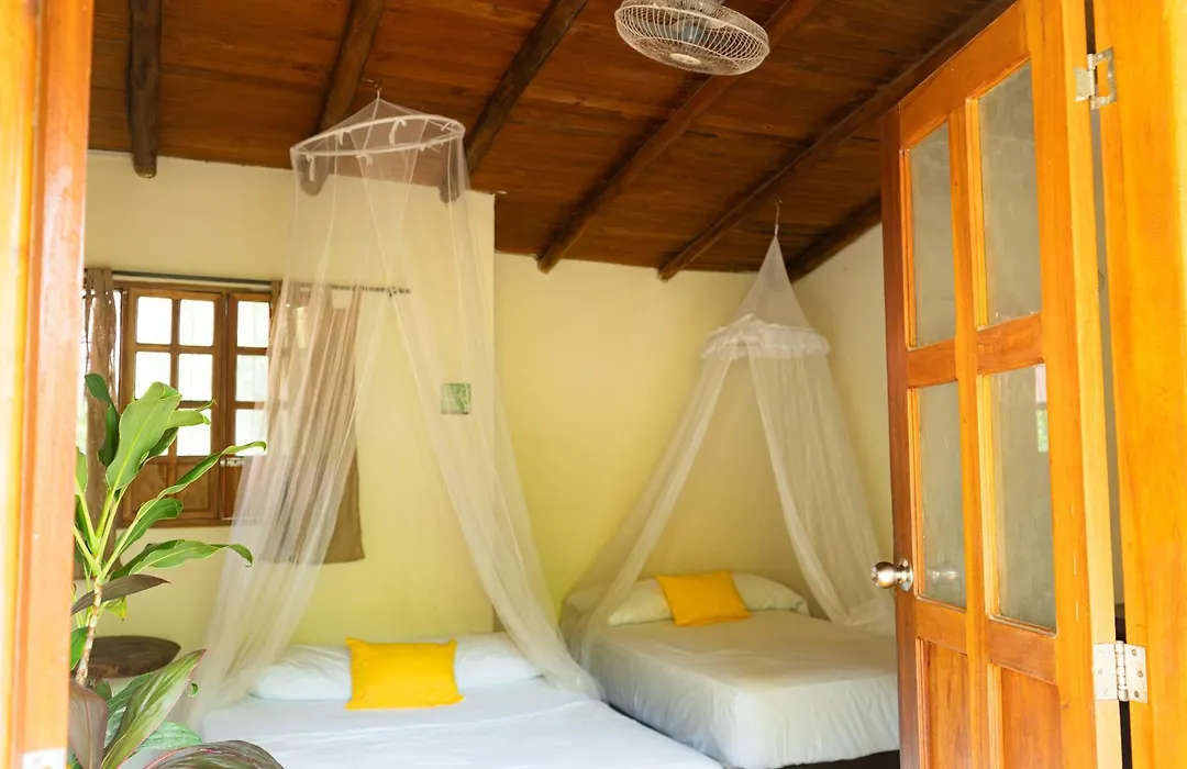 Kallpa B&B-1